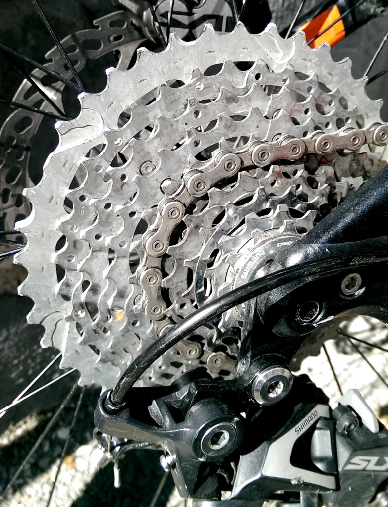 Clean and shiny with new chain and flipped 16t cog made of cheese